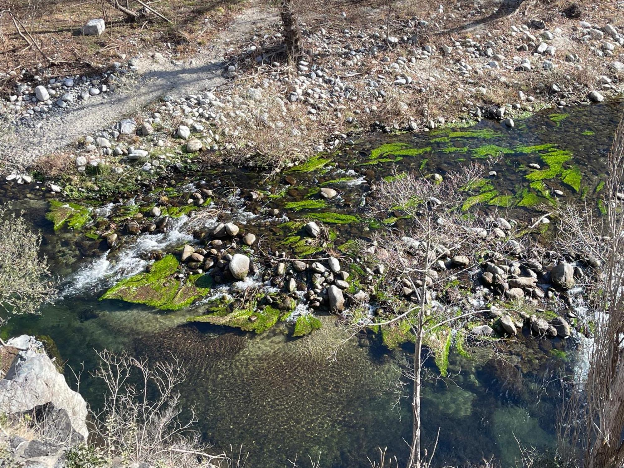 Mas Caraus Daire Montferrer Dış mekan fotoğraf
