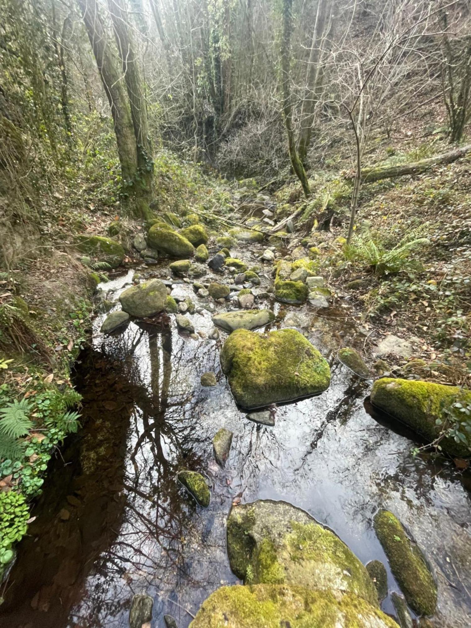 Mas Caraus Daire Montferrer Dış mekan fotoğraf